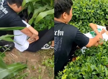 Lũ bạn học cuồng dâm nữ sinh